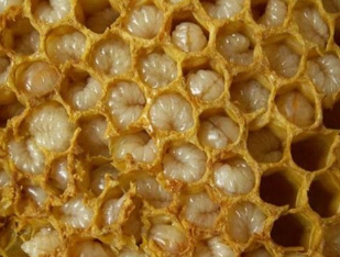 Products of the beekeeping